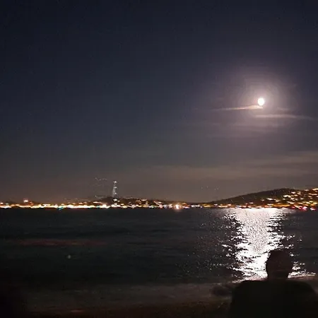 Port Apt 2 Pieces 3 Lits Double 600m De La * Grimaud